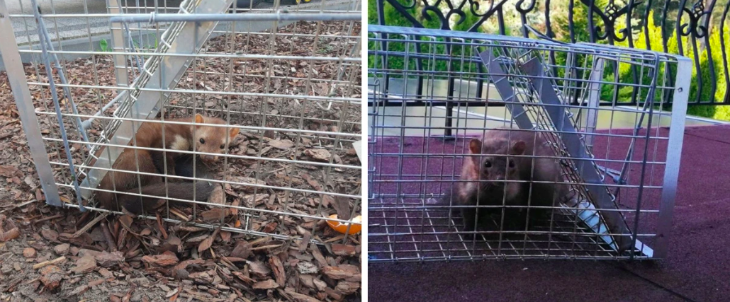 Snímka obrazovky 2026-02-19 o 20.34.14